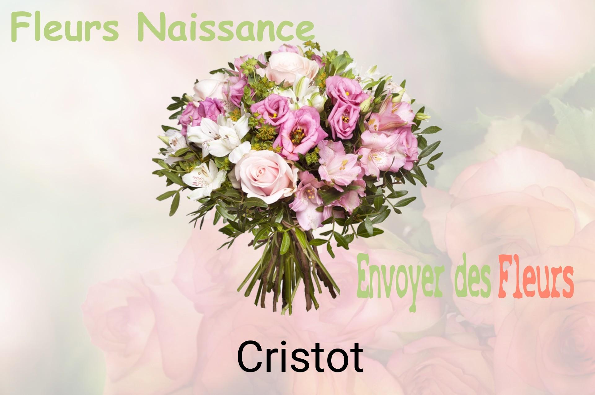 Bouquet de fleurs de naissance livré à Cristot